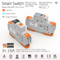 Disjoncteur intelligent CXJ29-32 32A 2P Mini WiFi avec compteur d'énergie en plastique, surveillance kWh, relais temporisé, capacité de coupure 6kA, montage sur rail DIN