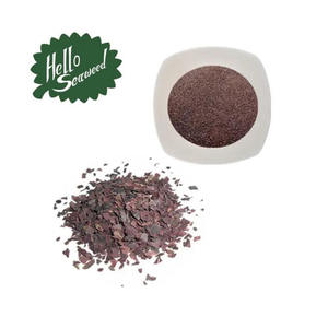 ผงสาหร่ายสีแดงออร์แกนิคแบบพรีเมี่ยม - Product Image 3