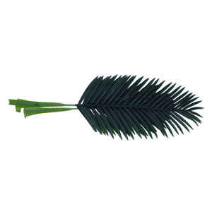 Venta caliente Hojas de <span class=keywords><strong>Palma</strong></span> artificiales Plantas tropicales Hojas de árboles Plantas Hojas de <span class=keywords><strong>palma</strong></span> como Helecho - Product Image 3