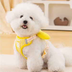 Correa de tracción para perro con lazo bonito, arnés de pecho de oso de peluche, chaleco antiescape para cachorros pequeños, correa para pasear perros - Product Image 5