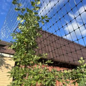 <span class=keywords><strong>Malla</strong></span> Antipalomas de PP para gallineros con <span class=keywords><strong>malla</strong></span> cuadrada y servicio de corte - Product Image 3