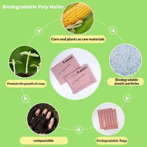 Bolsa de Embalaje Ecológica Biodegradable de LDPE, Autoadhesiva, Resistente, para Envío Exprés, con Logotipo de Bolsa de Mensajería Rosa - Product Image 4