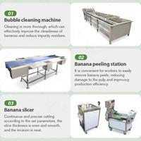 Automatische Een Petit Goedkope Machine Blancheren Gedroogd Fruit Ligne De Bake Banaan Weegbree Chip Productielijn