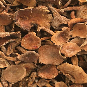 Продажа сушеных цельных грибов лактария волшебного, в форме молочной кепки от Nai jiang jun - Product Image 5