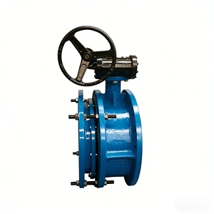 Vanne de régulation manuelle à bride extensible SD341X avec joint EPDM. Personnalisable avec une garantie d'un an. - Product Image 3