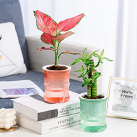 Pot de fleurs auto-arrosant en plastique côtelé coloré pour la décoration intérieure et extérieure, vente en gros