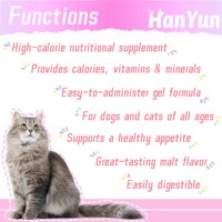 Supplément de pâte nutritionnelle riche en calories pour animaux de compagnie soutien soulagement croissant malade, refus de nourriture pour chat Kitty