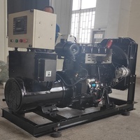 Groupe électrogène à gaz de paille haute efficacité 25KVA 20KW, générateur d'énergie par gazéification de biomasse pour usine de production d'énergie à partir de déchets agricoles