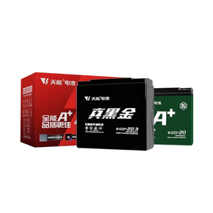 Batterie de <span class=keywords><strong>vélo</strong></span> et de scooter électrique Tianneng 48V60V72V TNE12-25 12V20AH 6-DZF-20 Batterie au plomb pour voiturettes de golf et tricycles UPS - Product Image 2