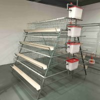 Système de cages en batterie galvanisées de type A à longue durée de vie pour l'élevage commercial de poules pondeuses