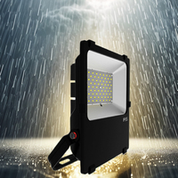 Projecteur LED YOUWIN 3030 SMD pour stade et tennis, 50W AC, certifié CE, IP65, blanc chaud, boîtier en PC, lentille en aluminium, CRI80, haute luminosité