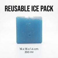 Boîte de refroidissement réutilisable de différentes formes OEM, boîte isotherme pour enfants, brique de glace écologique pour aliments congelés, fabriquée en HDPE