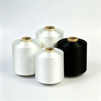 Fil torsadé en polyamide DTY-SD 100D/24F*2 100TPM