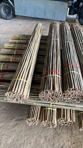 Supports en bambou naturel en gros : Canes de bambou Tonkin et piquets de bambou pour la pépinière, pour le soutien des tomates et des fleurs - Product Image 4