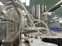 Machines de remplissage robotisées pour sirop de sucre contre la toux Machine de remplissage et de scellement d'ampoules de sirop de flacons