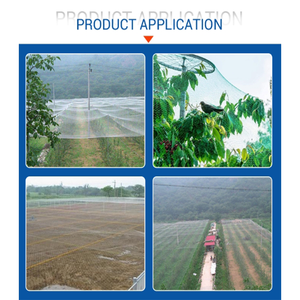 <span class=keywords><strong>Filet</strong></span> <span class=keywords><strong>de</strong></span> pêche résistant à l'usure à haute ténacité matériaux composés <span class=keywords><strong>filet</strong></span> <span class=keywords><strong>de</strong></span> <span class=keywords><strong>chasse</strong></span> aux oiseaux filets <span class=keywords><strong>de</strong></span> brouillard pour oiseaux agricoles - Product Image 5