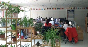 Ras למחזר את מערכת המים לחקלאות דגים סרטנים משק מערכת skimmer חקלאות ימית - Product Image 6