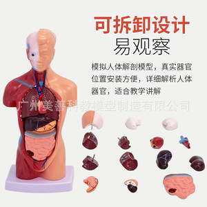 28CM - Product Image 1