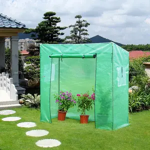 Kapalı ve açık Mini sera 4 katmanlı taşınabilir bitki yeşil ev PE kapak ve Roll-Up kapı