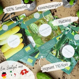 Assortiment <span class=keywords><strong>de</strong></span> légumes biologiques à haute germination-Paquet <span class=keywords><strong>de</strong></span> plantes <span class=keywords><strong>de</strong></span> courgettes <span class=keywords><strong>de</strong></span> style campagnard pour sol ou bureau - Product Image 3