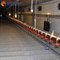 Prix de gros usine QZH – Équipement avicole haute résistance, sol en plastique à lattes pour poulailler, blanc, garantie 1 an