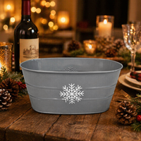 Pot de fleurs décoratif pour la maison, en zinc galvanisé, ovale, avec poignée, pot en métal pour plantes succulentes, pour la maison et le jardin