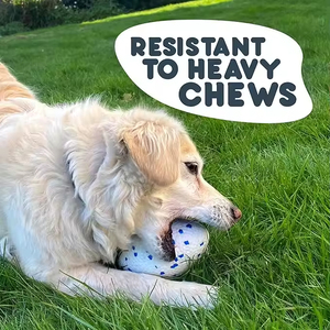 Innovativo giocattolo per cani multifunzionale Eco-<span class=keywords><strong>Chew</strong></span> - ETPU per la salute dentale e il gioco dei cuccioli aggressivi - Product Image 4