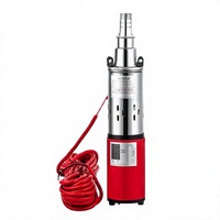 Pompe à vis submersible solaire DLSolar DC 12/24V 250W haute pression, sortie 1 pouce, pompe à eau solaire OEM, hauteur de refoulement max. 50m