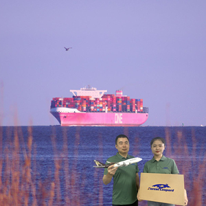 从中国到美国/英国/德国/欧洲/加拿大/日本的最佳FBA DDP门到门服务航空货运代理 - Product Image 3