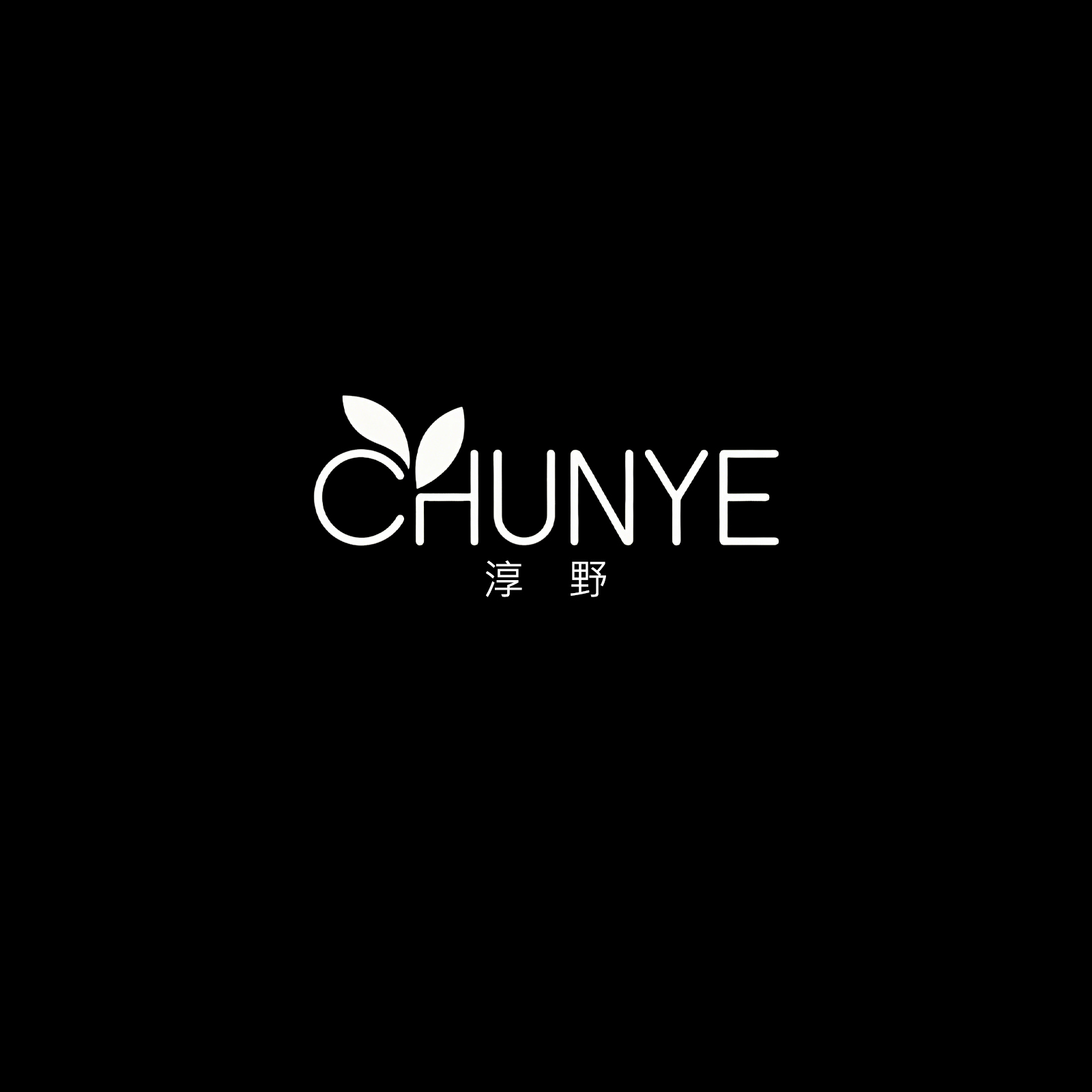 Dongguan Chunye Furniture Manufacturing Co., Ltd. logo