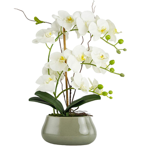 Fiori di orchidea di seta di plastica <span class=keywords><strong>in</strong></span> <span class=keywords><strong>vaso</strong></span> di ceramica Bonsai artificiali orchidea bianca <span class=keywords><strong>orchidee</strong></span> <span class=keywords><strong>in</strong></span> <span class=keywords><strong>vaso</strong></span> finte alte - Product Image 1