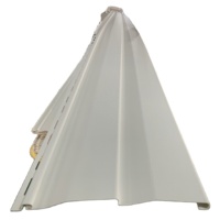 Panneau de gouttière en PVC couleur bois pour extérieur, panneau de plafond de 300 mm de large