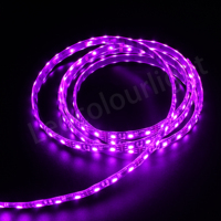 Bande lumineuse LED à éclairage latéral DC12V, flexible et adressable, pour application paysagère