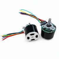 Moteur BLDC haute efficacité 7,4 V BL2820W avec contrôle PWM progressif, haute vitesse, indice de protection IP54, pour mini pistolet de massage portatif