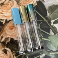 Tubes de brillant à lèvres vides en plastique 4,5 ml pour maquillage DIY, personnalisables avec logo et couleur, impression sérigraphique, injection de couleur, marque EHON LG351