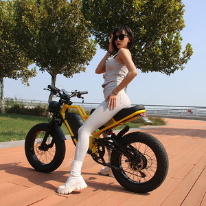 Vélo tout-terrain électrique à suspension complète avec batterie au lithium de montagne E-Bike E-Bike à gros pneus de 20 pouces - Product Image 2