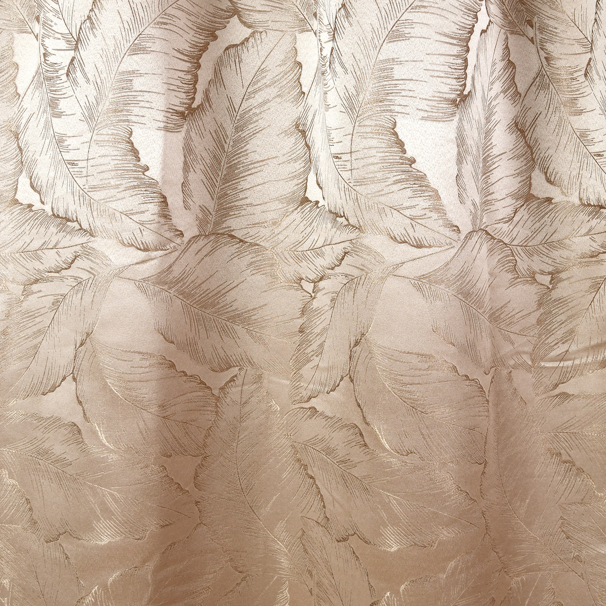 Color-2E แชมเปญ