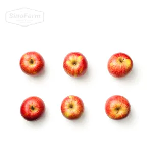 food grade fresh apple fruit apples red apples