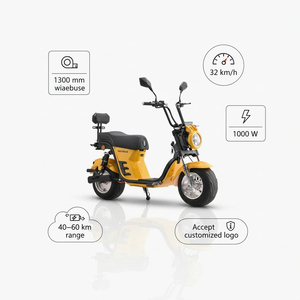 DAYI MOTOR Scooter Elettrico ad Alta Velocità 1300mm 1000W/1500W 60V, Motocicletta Elettrica - Product Image 3