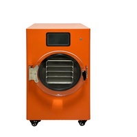 Déshydrateur compact sous vide pour la transformation alimentaire à domicile