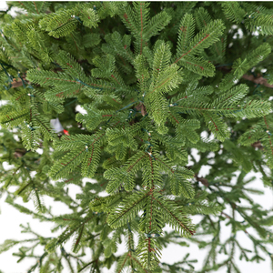 Árbol <span class=keywords><strong>de</strong></span> <span class=keywords><strong>Navidad</strong></span> Premium <span class=keywords><strong>de</strong></span> Alta Calidad <span class=keywords><strong>de</strong></span> 240 cm (8 pies), Grande y Abundante, 100% <span class=keywords><strong>de</strong></span> Polietileno, Sin Mal Olor, con Base Giratoria - Product Image 5