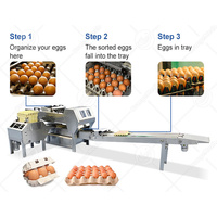 Machine automatique de tri et d'emballage d'œufs ORME pour volailles - Prix