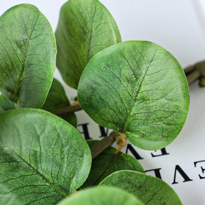 Hoja de Eucalipto Impresa en 3D con Película Táctil, Planta Verde Artificial para Decoración del Hogar, Flor, Hoja de Dinero, Venta al por Mayor en China - Product Image 4