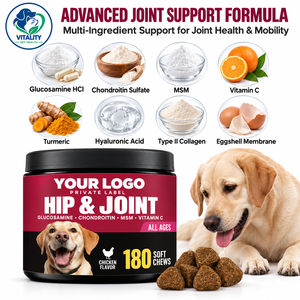 OEM Dog Joint <b>Support</b> Soft Chews with Glucosamine Chondroitin MSM Vitamin C <b>for</b> <b>Hip</b> Mobility Cartilage and Joint Healtht - Product Image 3