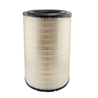 Filtre à air professionnel robuste pour moteur de camion en gros AF25333 5001018011 20732726 P780622 E452L01 LAF8496 C311410
