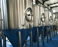 Fermenteur à bière conique de 500 l pour équipement de brassage de bière