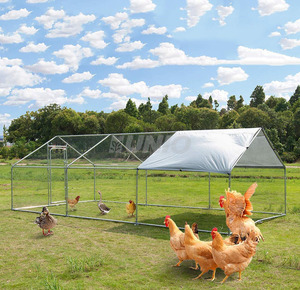 Poulet en forme de flèche robuste de haute qualité en plein air - Product Image 3