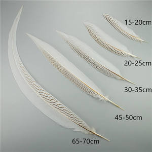Plumas de Cola de Faisán Naturales Plateadas al por Mayor, de 15-80 cm, Impermeables, para Manualidades, Disfraces de <span class=keywords><strong>Carnaval</strong></span>, Graduación, Día de San Valentín - Product Image 3