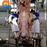 Équipement d'abattage de bétail, machinerie d'abattoir complète, projet clé en main pour usine de transformation de la viande bovine avec service de conception gratuit