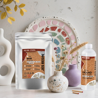 TIMESRUI JES Kit de poudre de gypse à base d'eau sans bulles pour plateau, non toxique, pour débutants, 500G+200G, surface en verre